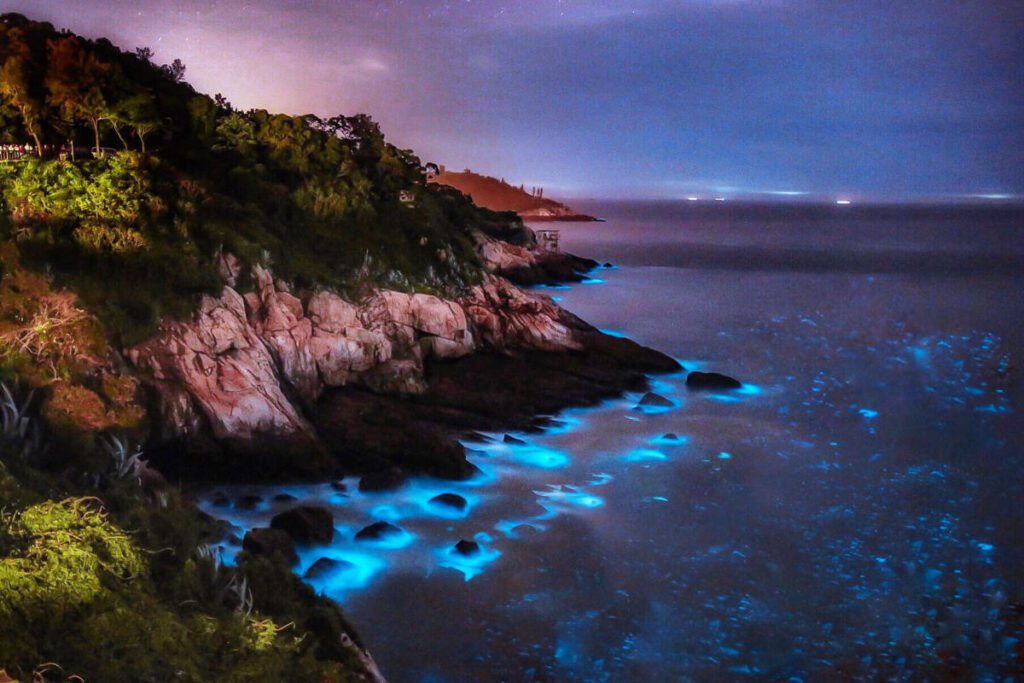 Blue Tears phenomenon in Matsu Islands, Taiwan