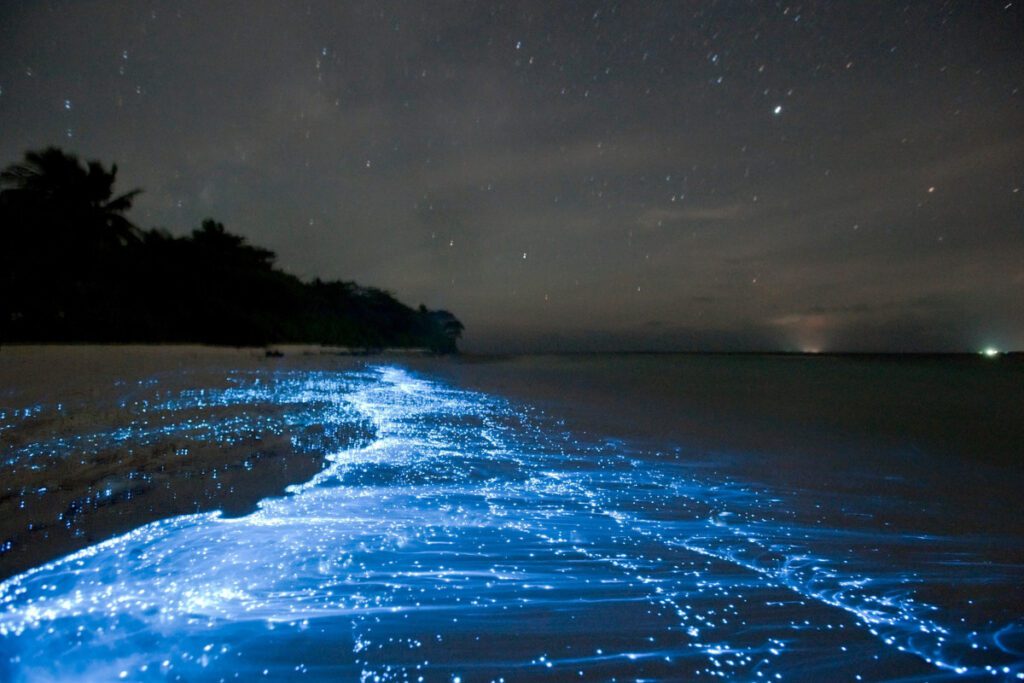 Bioluminescence at Koh Rong, Sihanouk, Cambodia