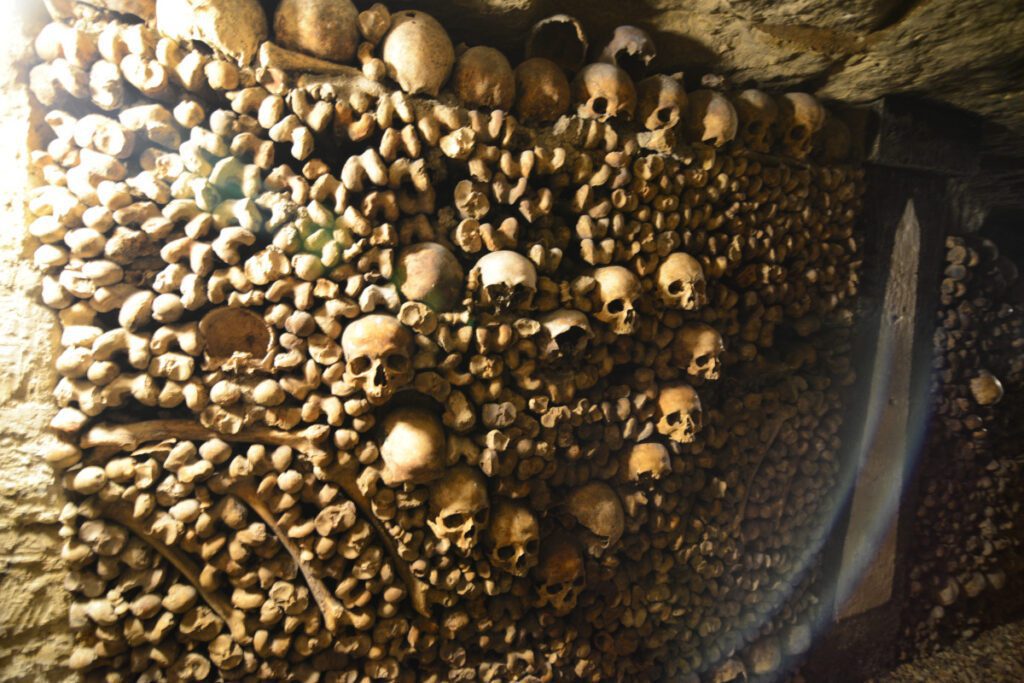 Arrangement of bones and skulls in Paris Catacombs