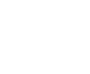 NordVPN Logo