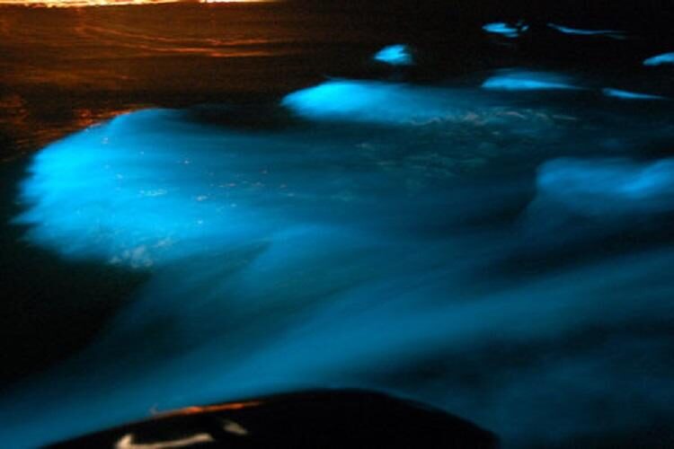 Glistening Waters bioluminescent phenomenon in Falmouth, Jamaica