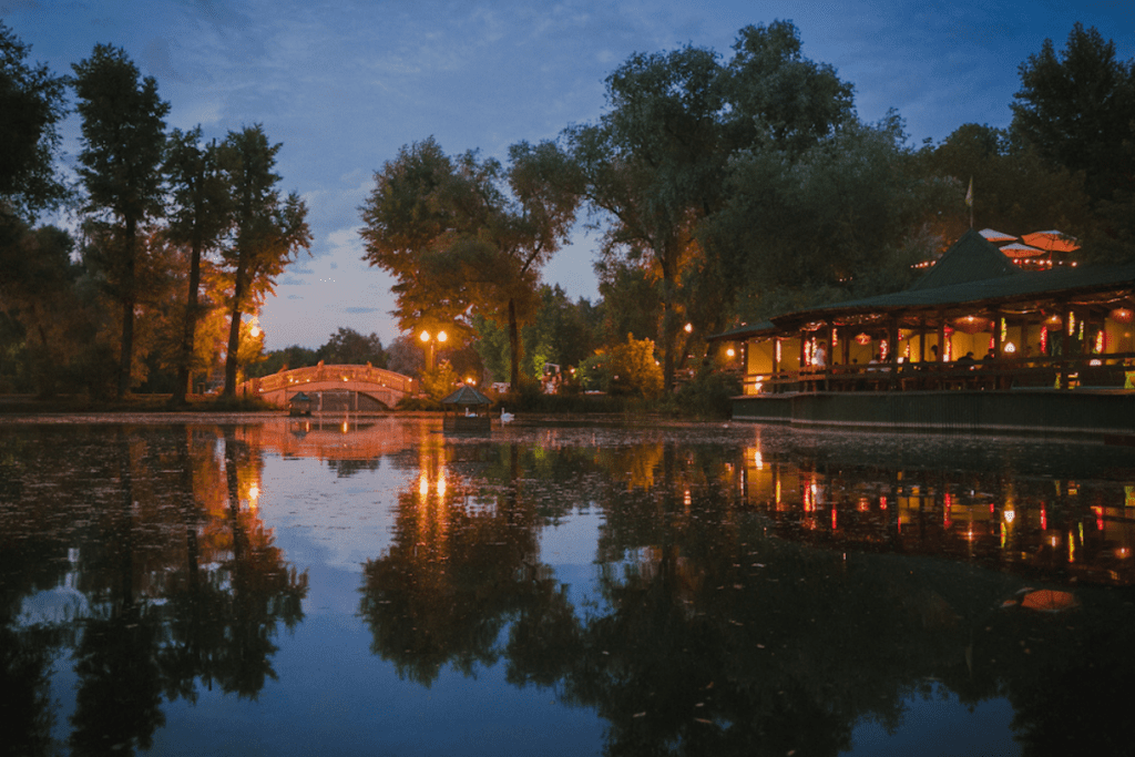 gorky park at night - pond