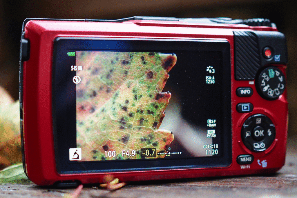 OM System TG-7  Camera Quality
